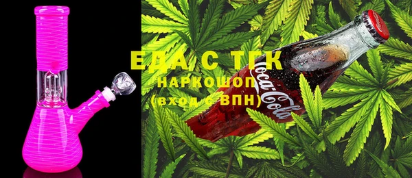 тгк Абаза