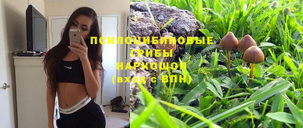 тгк Абаза