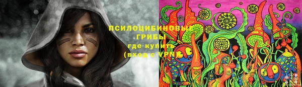 гидропоника Абинск