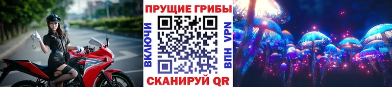 дарк нет какой сайт  Сорск  Псилоцибиновые грибы Cubensis 